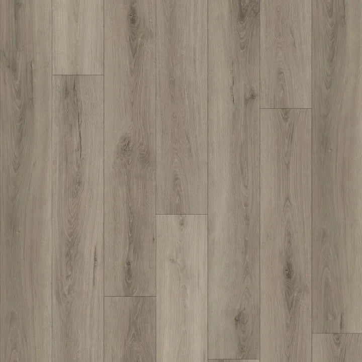 9976