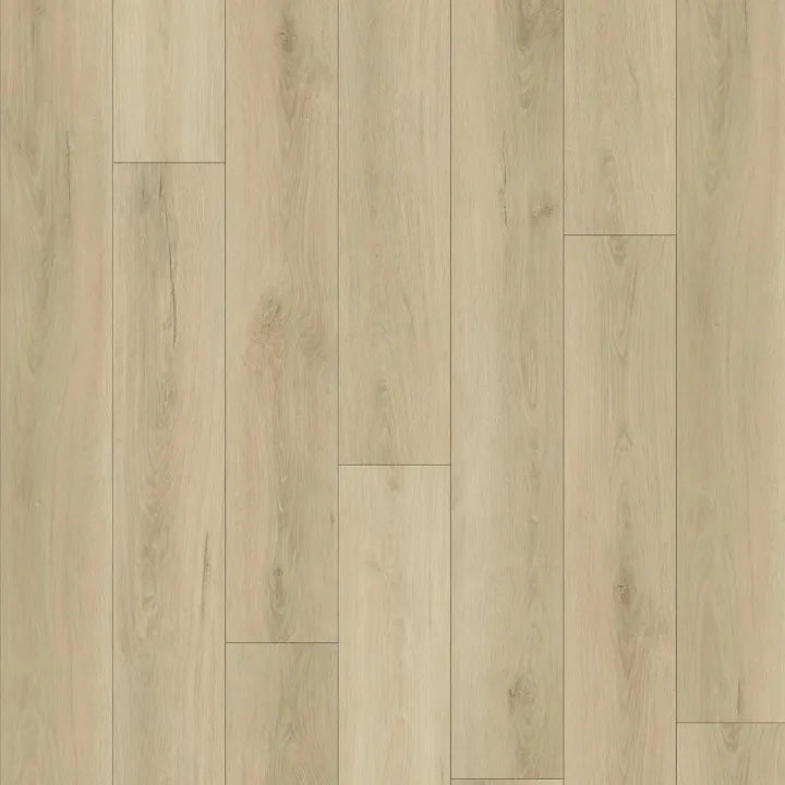 9978