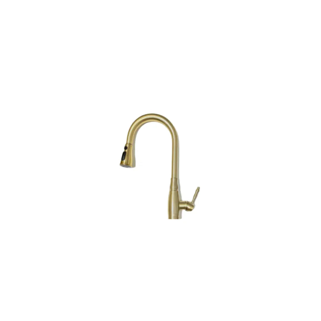 Kitchen Sink Faucet - CM2172