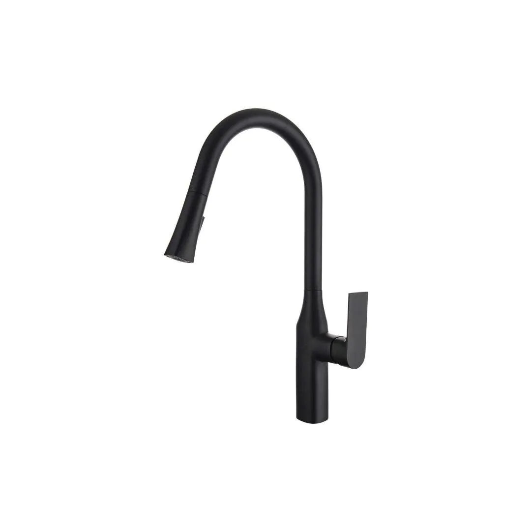 Kitchen Faucet - B23134 in matte black finish with single-handle design by KDN Home Option Inc.