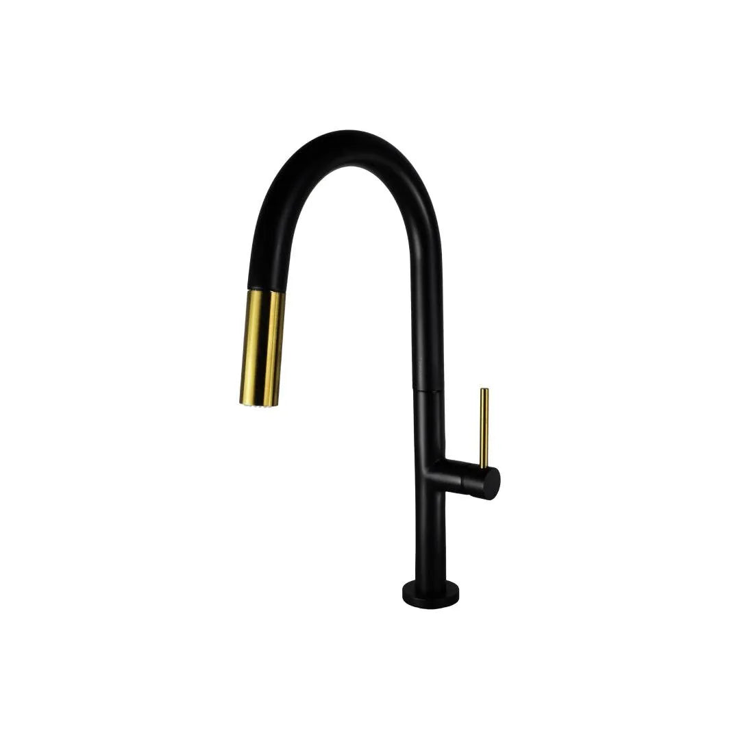 Kitchen Faucet - B23304 with pull-out sprayer and dual spray function in black and gold by KDN Home Option Inc.
