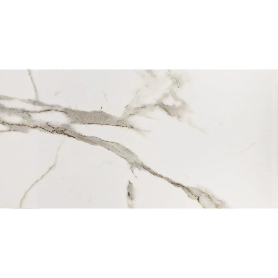 TILE - QSMP6211 12X24 TESCO Building Supplies