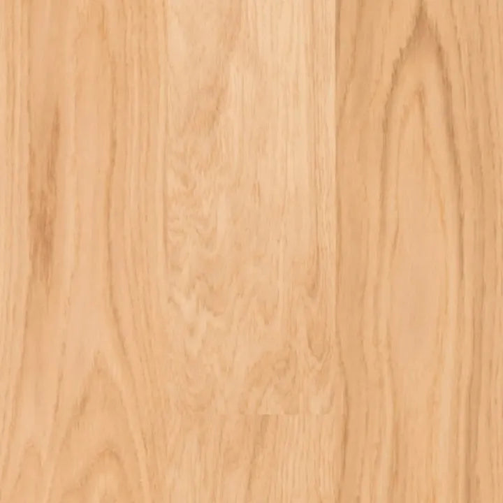 10681