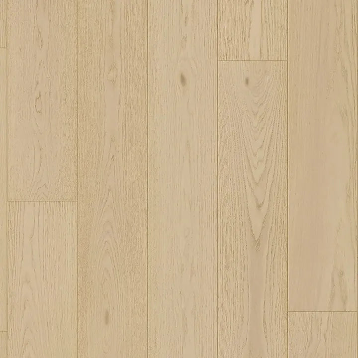10691