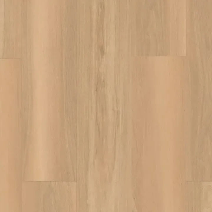 10806