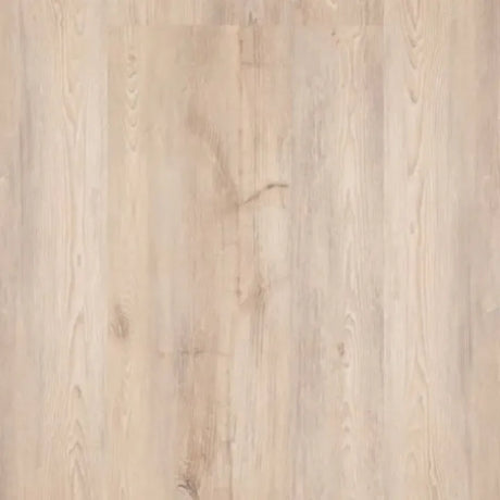 10809