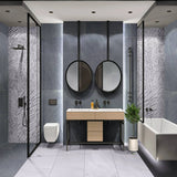 8695 rendering
