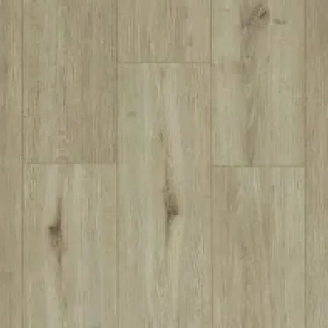 9987