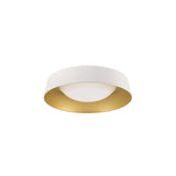 Ceiling Light  - PL-LF136B13