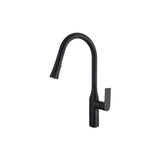 Kitchen Faucet - B23134