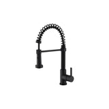 Kitchen Faucet - B25133