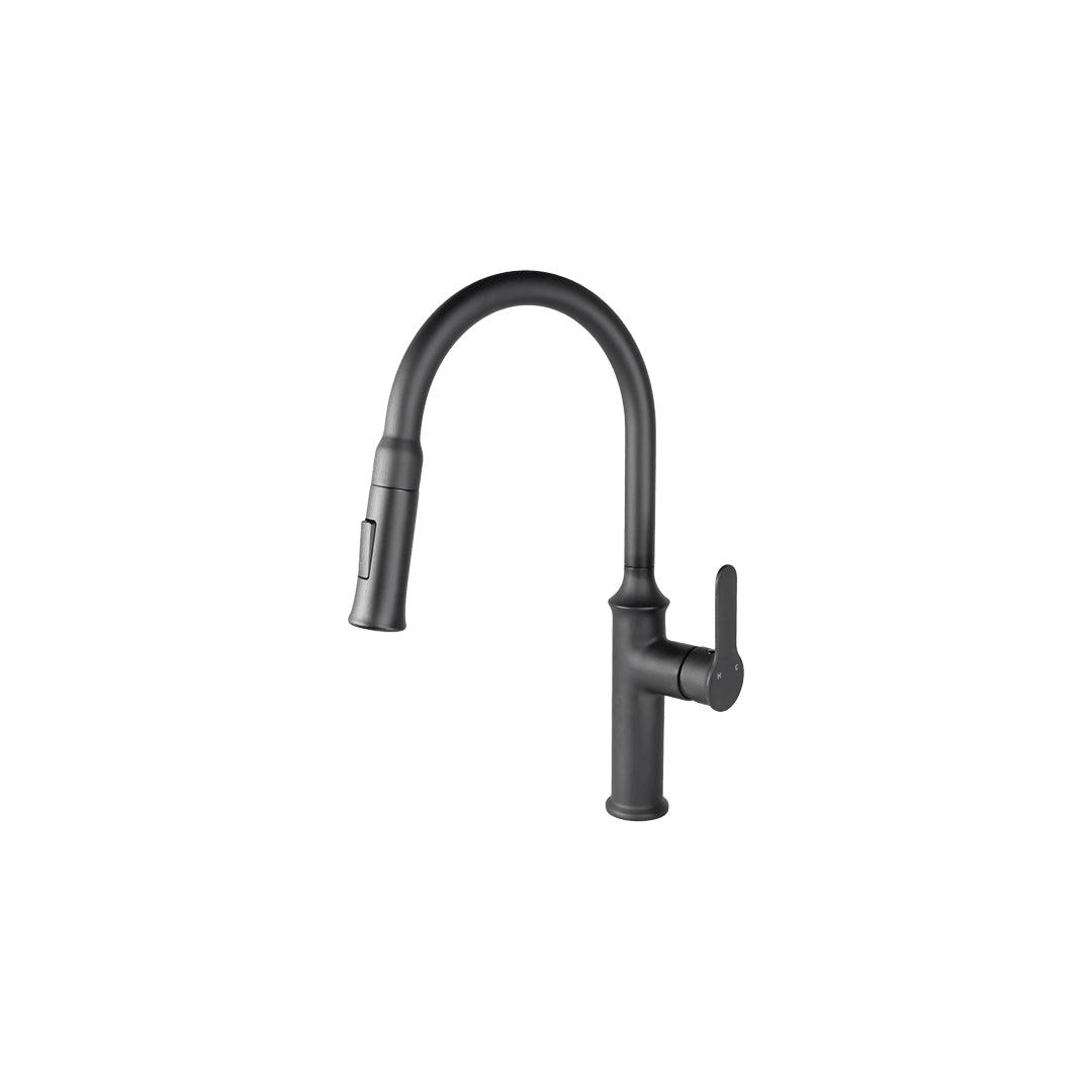 Kitchen Faucet - B23900