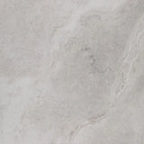 SMP80489