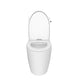 Siphonic One-Piece Toilet - SA-2226