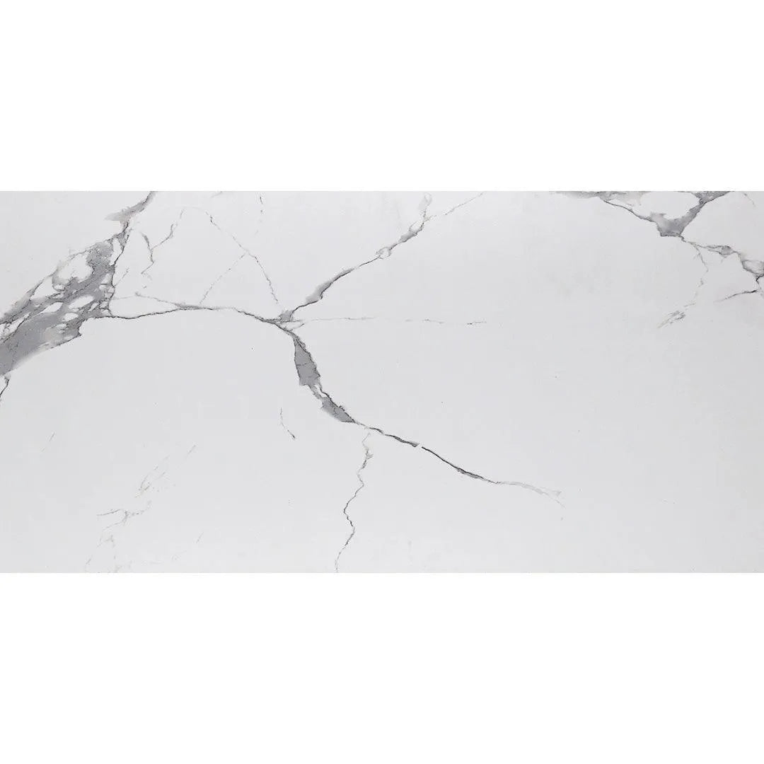 TILE - M12 12X24 TESCO Building Supplies
